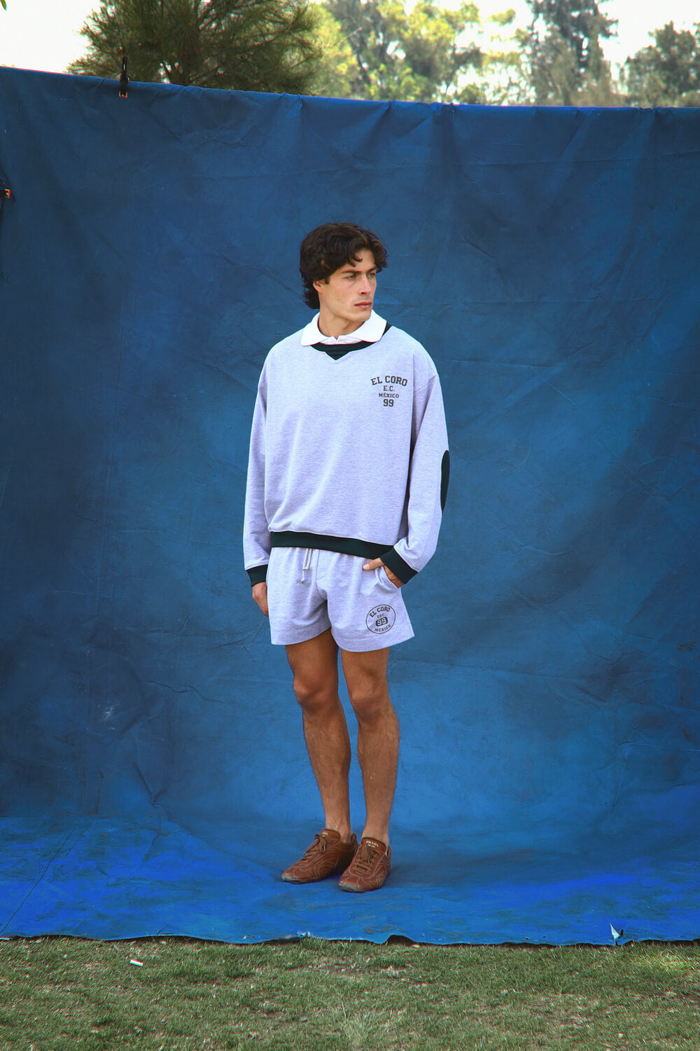 Varsity Shorts