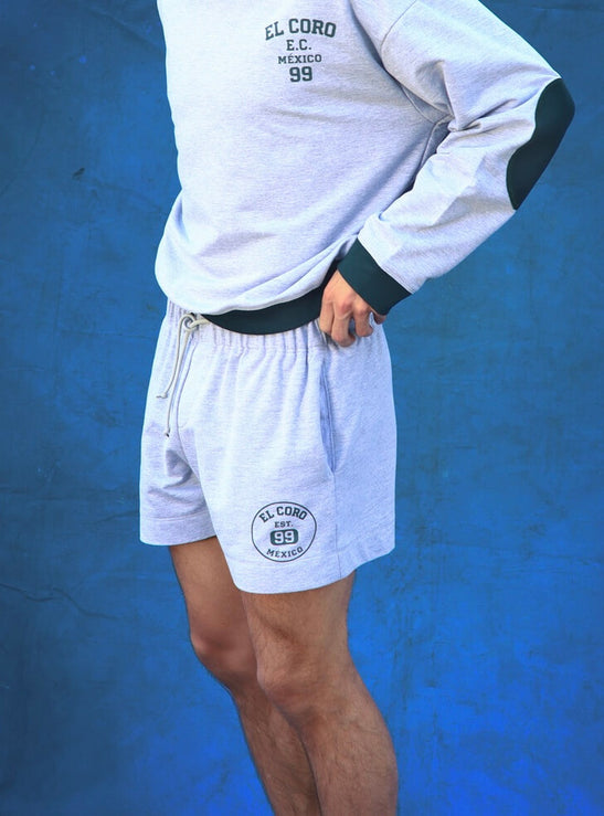 Varsity Shorts