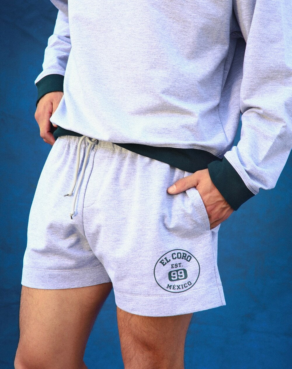 Varsity Shorts